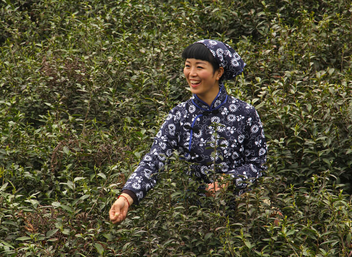 动漫牡丹 特别篇